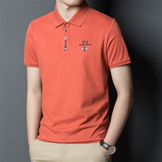 2023夏季新款短袖t恤男翻领体恤衫潮流休闲百搭polo中年男士上衣，男装T恤，电商B212（原钱塘6029）