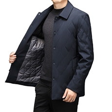 加厚保暖棉衣男士冬季新款中年爸爸装翻领棉服商务休闲外套男装，男装棉衣，电商B212（原钱塘6029）