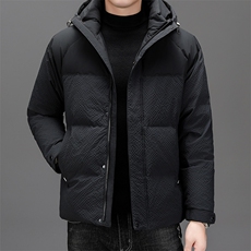 BZC2391钱塘2020-2时尚休闲简约冬季厚款中年男士羽绒服P240，男装羽绒服，钱塘207-2