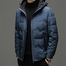 连帽羽绒服男士2023新款中青年商务休闲上衣冬季男装加厚保暖外套，男装羽绒服，电商B212（原钱塘6029）