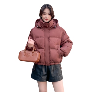 90%白鸭绒羽绒服2024冬季新款韩版短款立领连帽羽绒服外套女图片