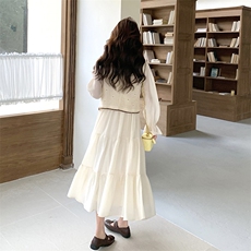 2025年春季新款连衣裙马甲两件套，女装连衣裙，浙宝069