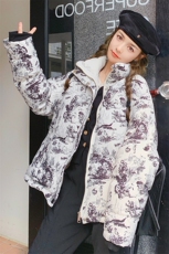 新中式国风水墨印花立领短款羽绒服女冬2024年新款独特超好看外套，女装羽绒服，2C085