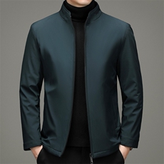 中年棉服男冬季保暖棉袄男棉衣夹克中老年爸爸装外套YYM8610-P175，男装棉衣，电商B212（原钱塘6029）