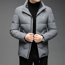 DF8238钱塘2020-2冬季厚款时尚休闲立领中年男士简约羽绒服P225，男装羽绒服，钱塘207-2