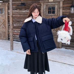 现货：冬装新款韩系休闲羊羔毛翻领短款羽绒服2C135-6839P275K418图片