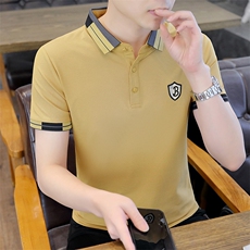 短袖T恤男翻领刺绣上衣服夏季中年男士休闲时尚半袖体恤衫男装，男装T恤，电商B212（原钱塘6029）