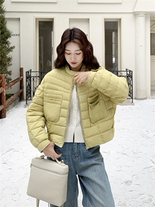 极简风休闲轻羽绒服女2025冬季新款韩系立领保暖白鸭绒百搭厚外套图片