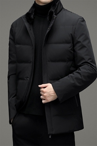 外套男冬装羽绒服保暖男装2023秋季新款中年男士商务休闲上衣图片