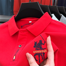 纯棉T恤男长袖中年商务翻领爸爸装polo衫男士休闲大码春秋上衣服，男装T恤，电商B212（原钱塘6029）