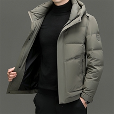 DF23315钱塘2020-2新款冬季时尚百搭连帽简约中年男士羽绒服P293，男装羽绒服，钱塘207-2