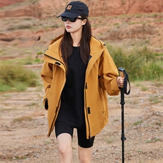 姜黄色三合一