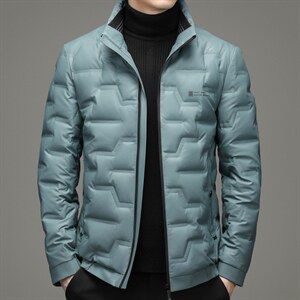 冬季新款灰鹅绒立领羽绒服纯色加厚羽绒服爸爸装YYYR21151-P290,男装羽绒服,电商B212（原钱塘6029）