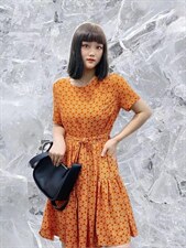 夏季新款面料连衣裙，女装连衣裙，帝瀛 DY