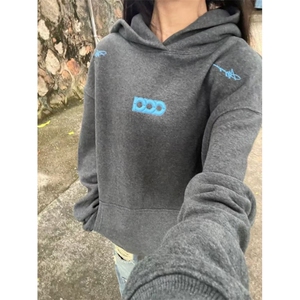 美式刺绣连帽卫衣秋冬潮牌痞帅重磅帽衫设计感情侣杉-WY1087-网图图片