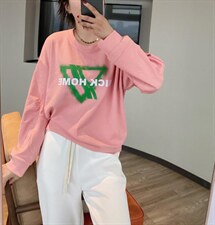 现货，春装卫衣5个颜色，女装卫衣/绒衫，简单小珍