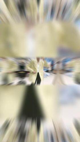 朗色千秋 LSQQ109297