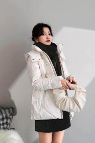 冬季系列，其它，紫缘