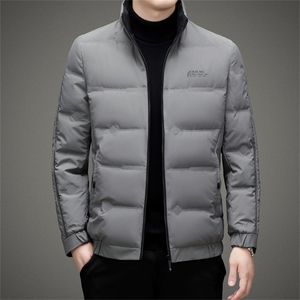 2023年新款羽绒服P220图片