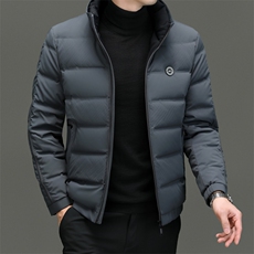 DF8866钱塘2020-2新款时尚休闲立领简约中年男士羽绒服P225，男装羽绒服，钱塘207-2