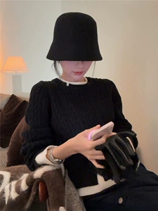 时尚百搭假两件麻花圆领仿羊毛针织衫显瘦修身长袖毛衣女秋冬新款图片