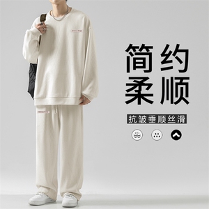 简约垂顺美式休闲百搭休闲套装免烫 TZ819-特批98图片