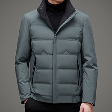 羽绒服冬季立领宽松保暖商务休闲纯色外套中年男装MSNA20613-P255，男装羽绒服，电商B212（原钱塘6029）
