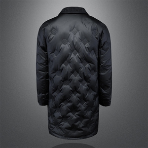 2024年冬季翻领白鸭绒羽绒服图片