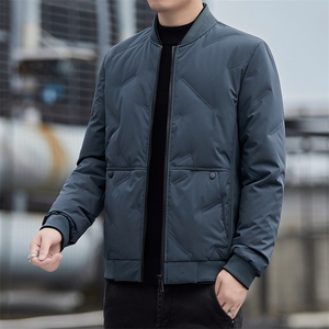 2024 冬季新款2210款立体剪裁50%灰鸭绒羽绒服 P95图片