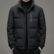 中年男士羽绒服男冬季中年爸爸翻领冬装休闲款外套YL28809-P265图片
