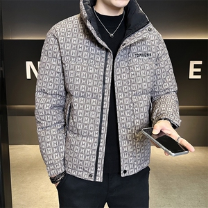 标50白鸭绒轻薄款男装羽绒服冬季外套B317-Y2506-P185图片