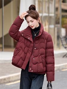 现货2025年新款白鸭绒90绒短款羽绒服女宽松显瘦上衣女保暖轻薄女图片