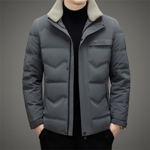 2024年新款羽绒服P265图片