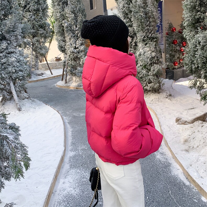 现货新款2179-P255=K365小个子羽绒服，女装羽绒服，韩然一族