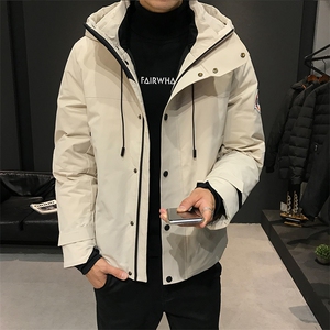 含19年新款工装防水80绒休闲羽绒服DS-B293-F708