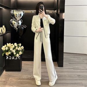韩版休闲运动套装女早秋新款高级感显瘦立领开衫卫衣阔腿裤两件套图片