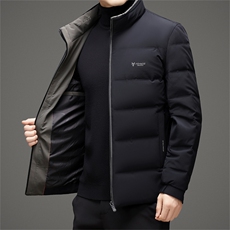 冬季男士白鸭绒羽绒服加厚保暖商务休闲短款立领冬装品质外套男，男装羽绒服，钱塘6003（原4033）