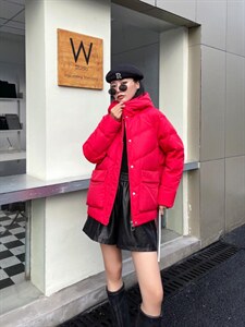 90白鸭绒，三色四码图片