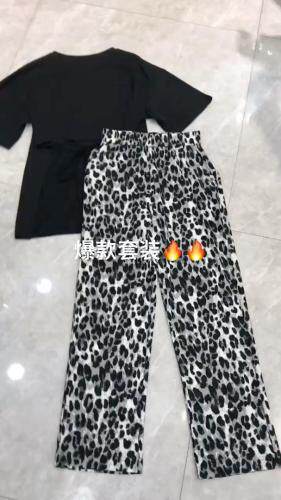 DCXY大超小越 DCXYDCXY118663