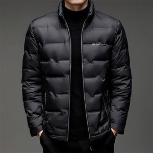 主推秋冬男士中老年50绒子羽绒服外套休闲短款白鸭绒羽绒服图片