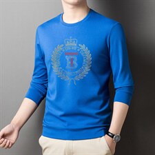 新款男长袖印花上衣2023春秋季宽松加厚圆领卫衣中年男士打底衫，男装卫衣，电商B212（原钱塘6029）