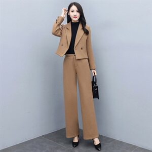 2020冬季时尚百搭复古两件套通勤气质翻领女图片