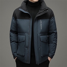 羽绒服冬季男短款休闲立领中青年男士冬装外套DFLDY8002-P280，男装羽绒服，电商B212（原钱塘6029）