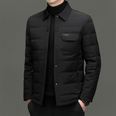 C98668钱塘2020-2新款商务休闲翻领简约中年男士羽绒服P205，男装羽绒服，钱塘207-2