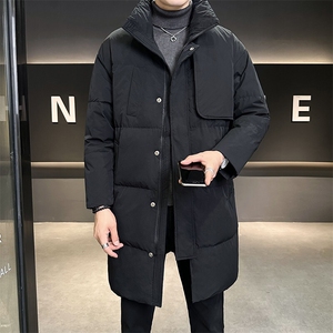 标50白鸭绒 2024新款羽绒服男士中长款外套 B240-23899-P295图片