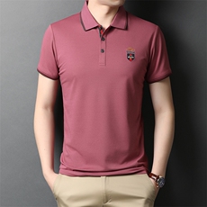 夏季新款男士翻领短袖t恤中年有领男装上衣服休闲POLO衫，男装T恤，电商B212（原钱塘6029）