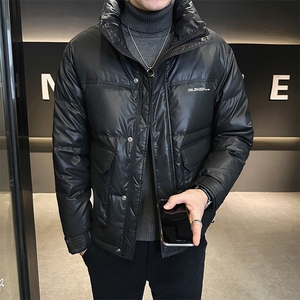 皮羽绒服男2025新款加厚外套潮牌立领上衣 A313-6302-P165图片