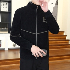 秋冬新款加厚金貂绒立领毛呢大衣短款夹克外套上衣男D31P145控238，男装毛呢大衣，电商B226