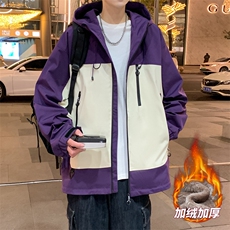 晨曦紫