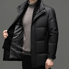 DF22621钱塘2020-2冬季新款简约立领厚款中年男士羽绒服P315，男装羽绒服，钱塘207-2